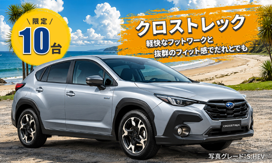 クロストレック 軽快なフットワークと抜群のフィット感でだれとでも 限定10台