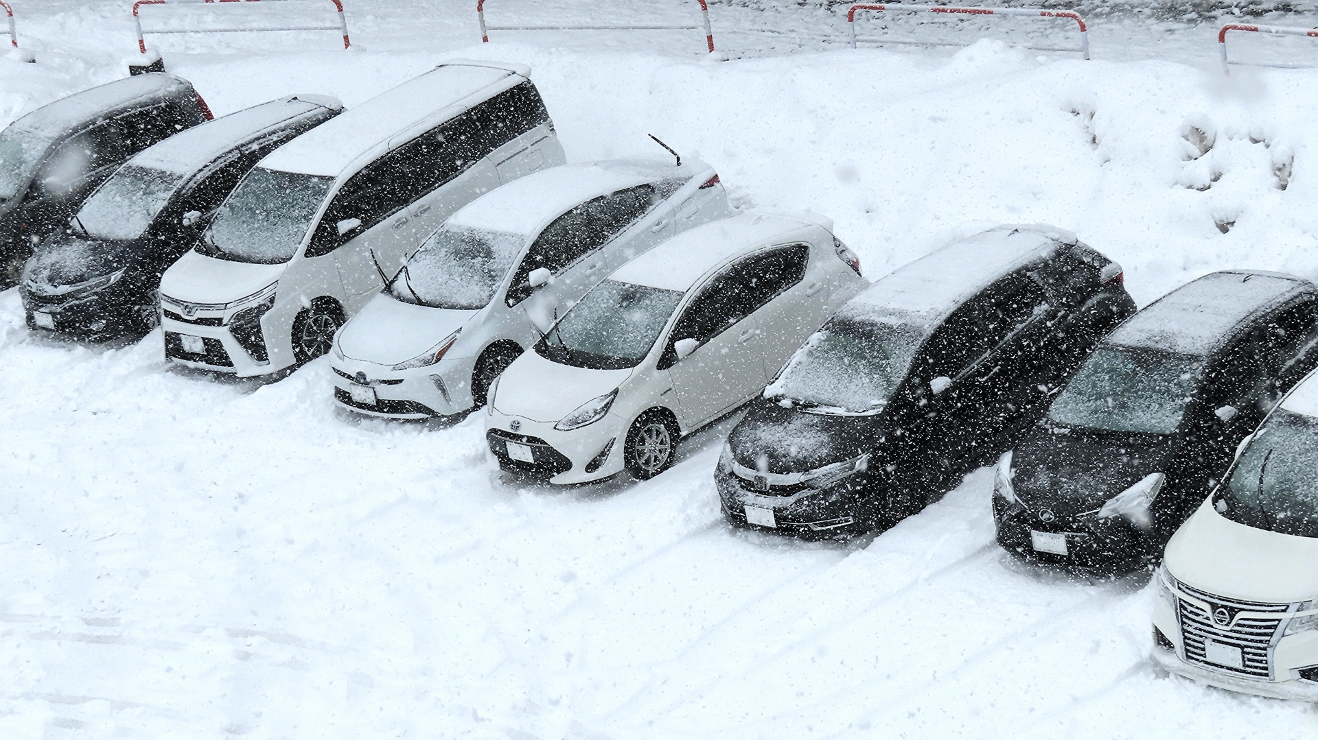 雪降りすぎやろワイパーも立てるわ