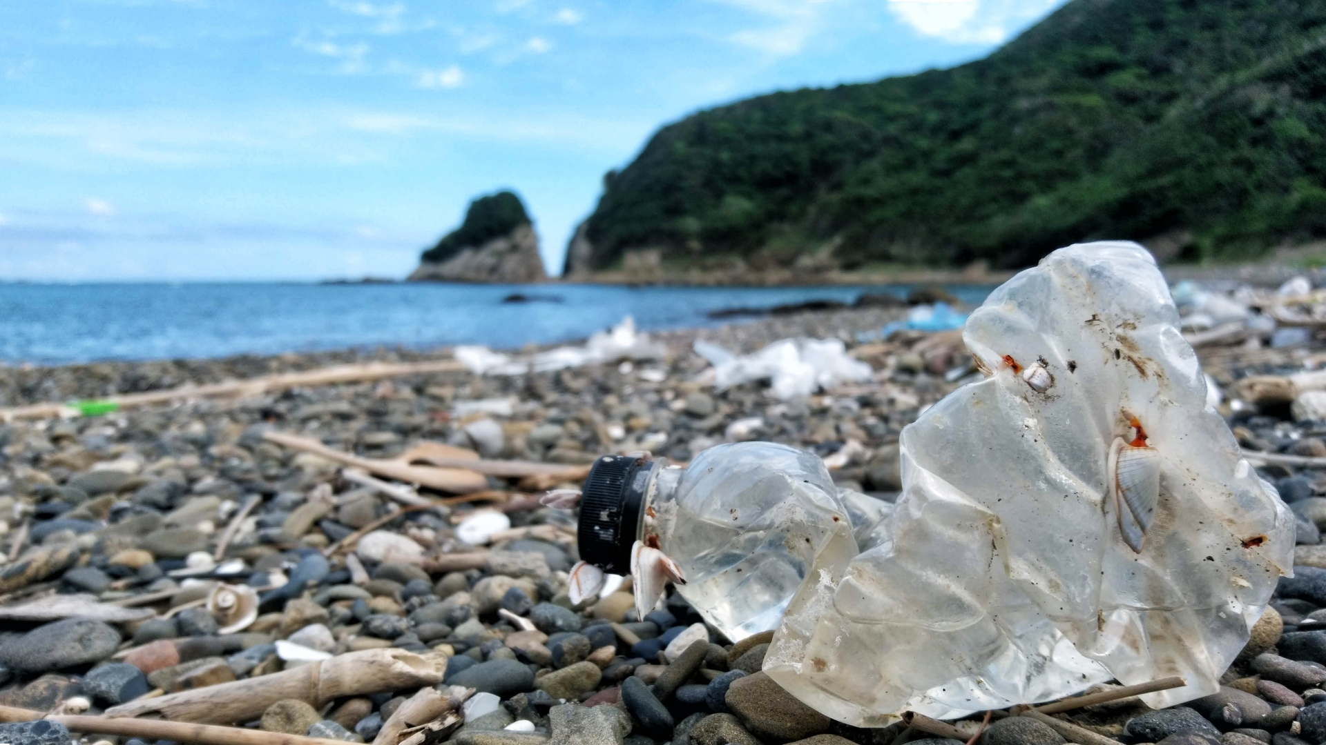 不法投棄