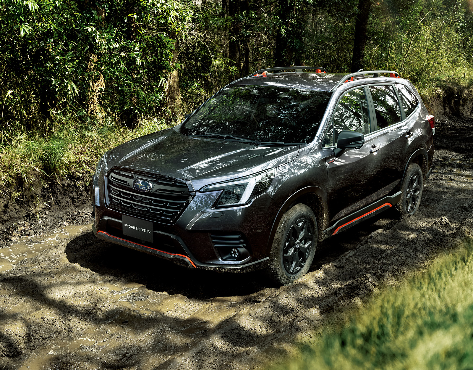 スバルフォレスター（SUBARU FORESTER）の画像