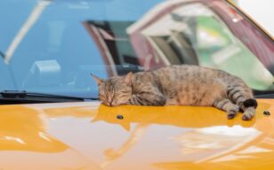 お役立ちコラムのサムネイル